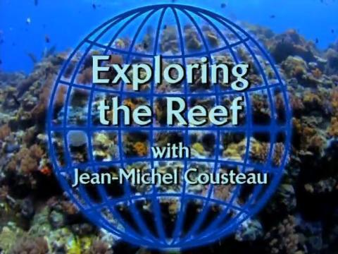 Exploring the Reef (S)