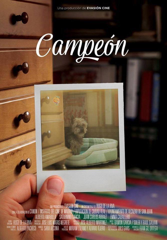 Campeón (S)