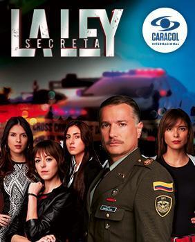 La ley secreta (Serie de TV)