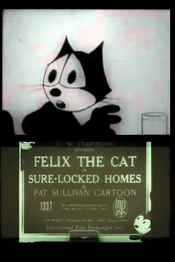 Felix the Cat in Sure-Locked Homes