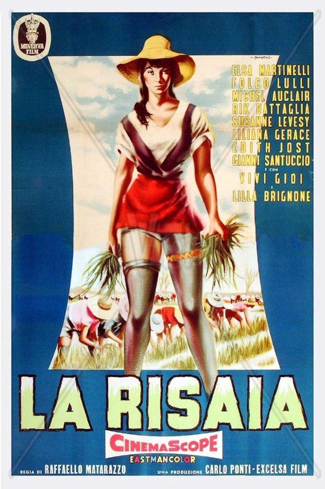 La risaia