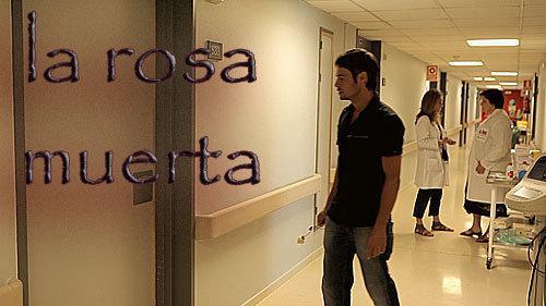La rosa muerta (C)
