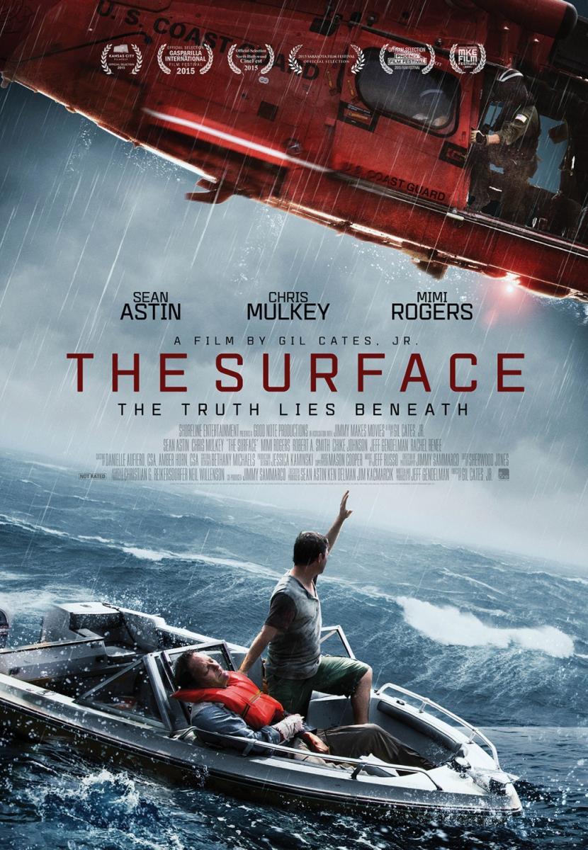 The Surface (2014) The Surface (2014)