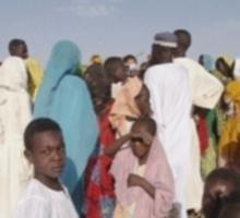 All About Darfur
