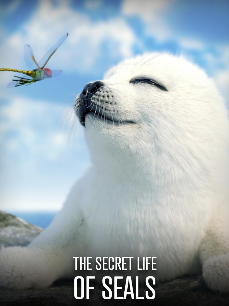 La vida secreta de las focas