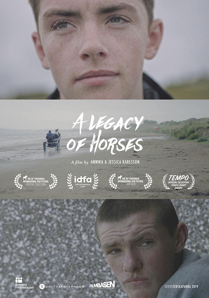 A Legacy Of Horses (S)