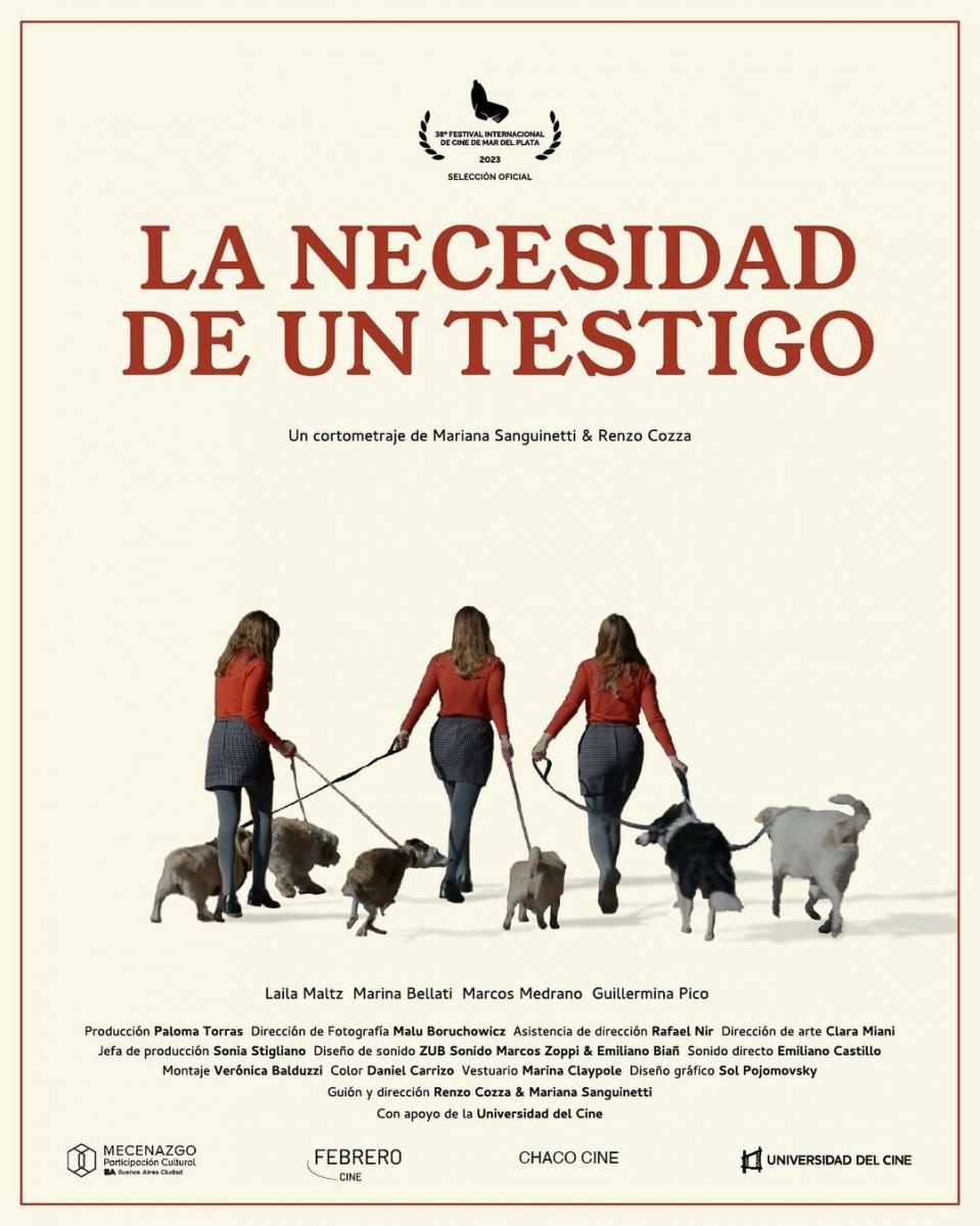 La necesidad de un testigo