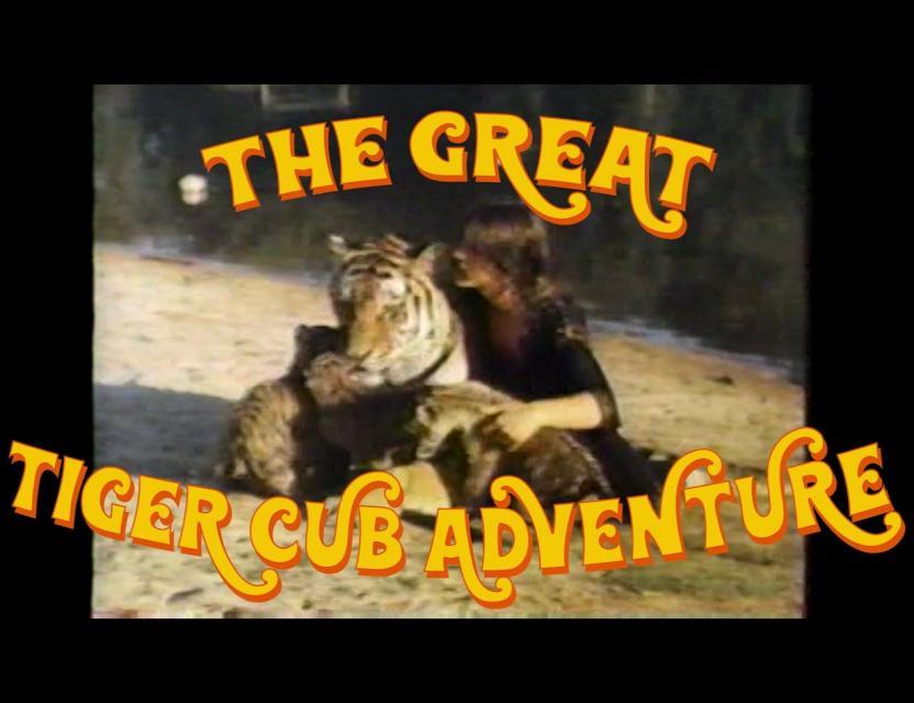 The Great Tiger Cub Adventure