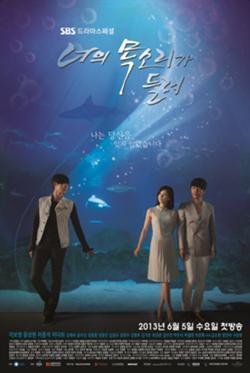 I Hear Your Voice (TV Series)
