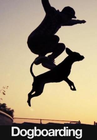 Dogboarding (C) Dogboarding (C)