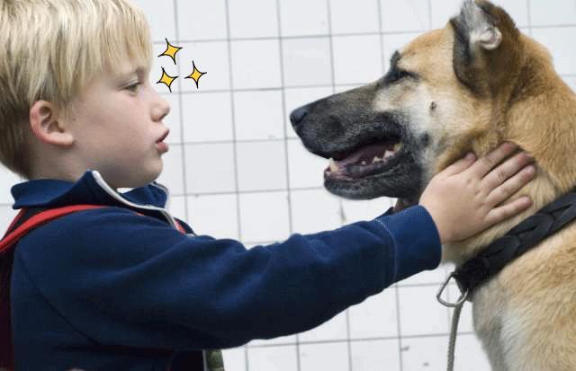 Perrito (C)