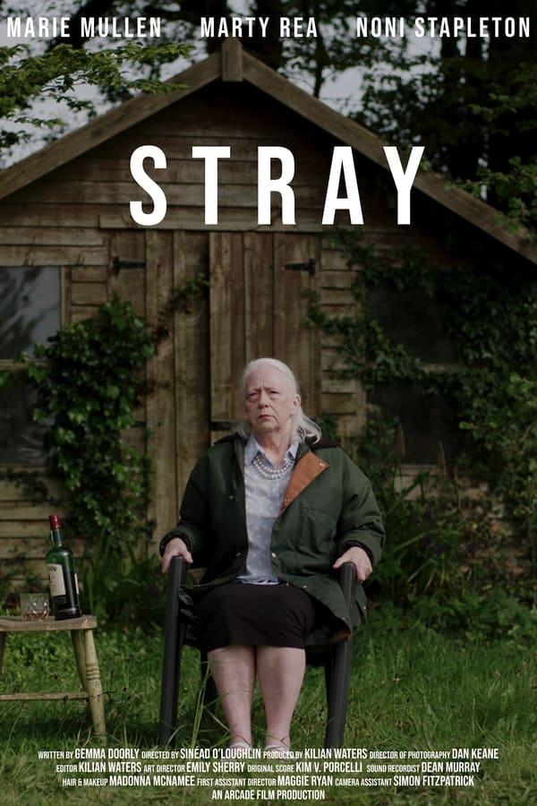 Stray (C)